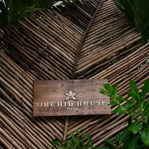 https://orchid-house-tulum.tulum-hotels.net