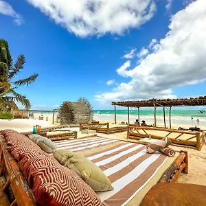 Alito 4*, Tulum Messico